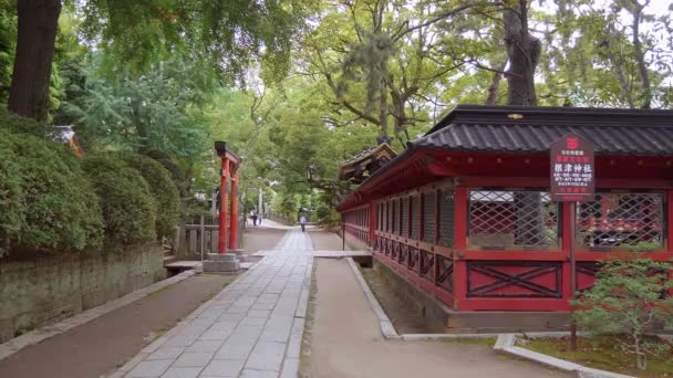 Nezu Jinja tapınak - Tokyo Bunkyo içinde ünlü Shinto tapınak - Tokyo, Japonya - 17 Haziran 2018 — Stok video