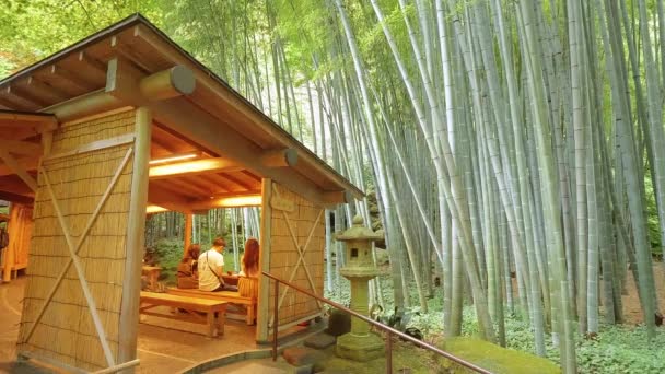 Amazing Tea house in a Japanese Bamboo Forest - TOKYO, JAPAN - JUNE 17, 2018 — Stock Video