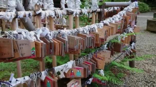根津神社-東京都文京区の有名な神社 — ストック動画