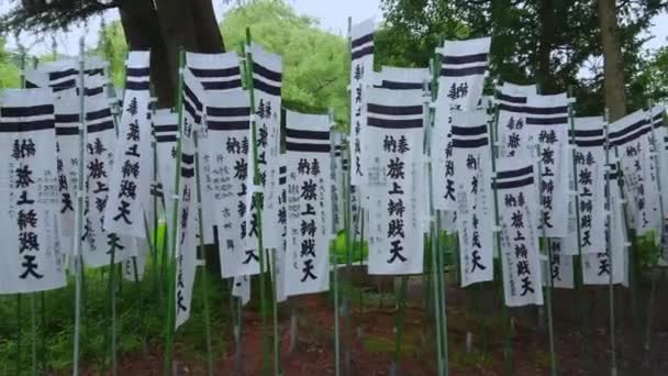 Pad van vlaggen bij een Shinto-Shrine in Kamakura — Stockvideo