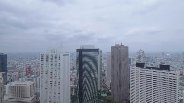 Вид с воздуха на большой город Токио - ТОКИО, Япония - 17 июня 2018 года — стоковое видео