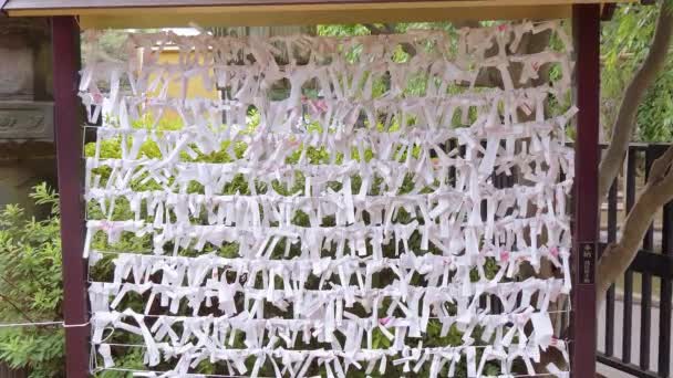 Omikuji - papeles de mala suerte en un templo budista o santuario sintoísta — Vídeos de Stock