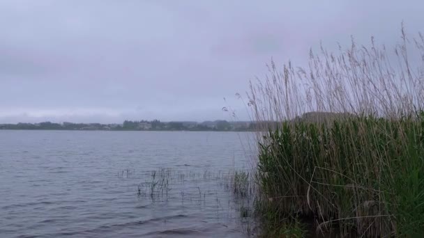 Озеро Кавагутико на горе Фудзи в Японии - знаменитый Фудзияма — стоковое видео