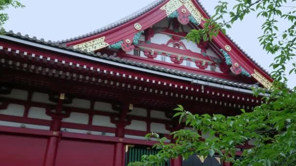 东京的浅草寺--浅草著名的浅草寺 — 图库视频影像
