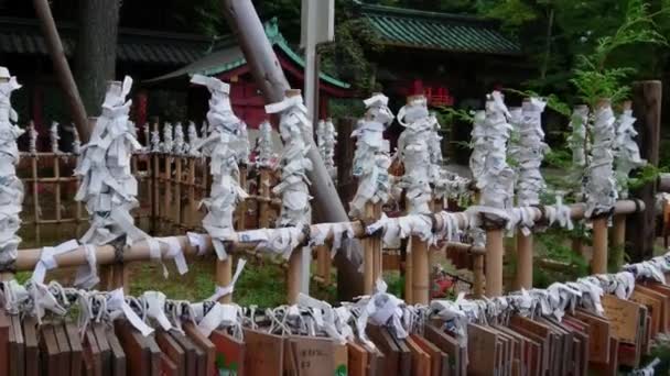 Beroemde Shinto-Shrine in Tokio - de Nezu Jinja in Bunkyo — Stockvideo