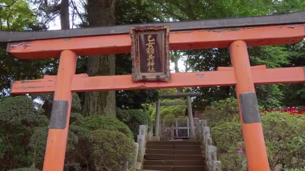 Nezu Jinja Shrine - el famoso santuario sintoísta en Tokio Bunkyo — Vídeos de Stock