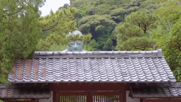 Híres templom bejáratánál a nagy Buddha a Kamakura — Stock videók