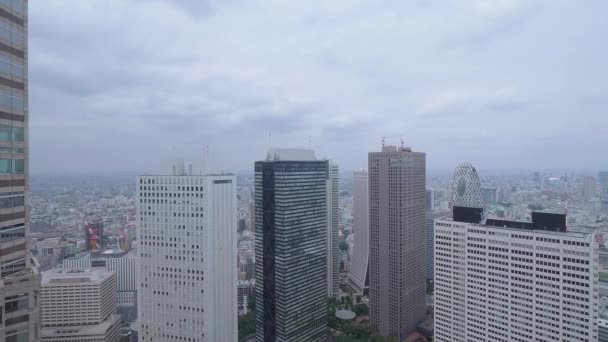 Letecký pohled nad velké město Tokio - Tokio, Japonsko - 17 červen 2018 — Stock video