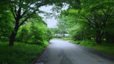 Imperial Palace Park Tokyo