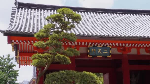 Senso-Ji tempel in Tokio - beroemde Sensoji in Asakusa — Stockvideo