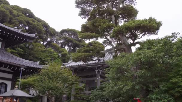 Prachtige daken van Hase-Dera tempel in Kamakura - Tokio, Japan - 12 juni, 2018 — Stockvideo