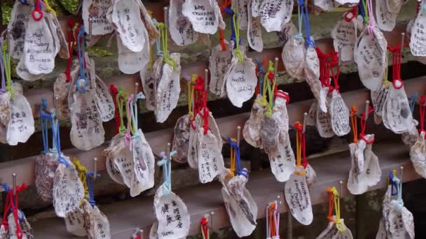 Желания, написанные раковинами в буддийском храме — стоковое видео