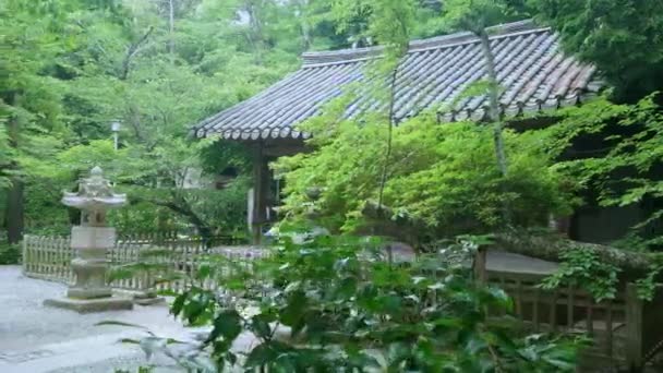 Beroemde Daibutsu tempel in Kamakura — Stockvideo