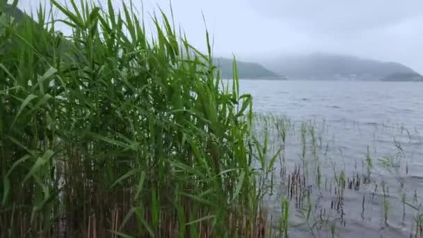 Kawaguchiko-tó partjától a Mount Fuji in Japan - a híres Fujiyama — Stock videók