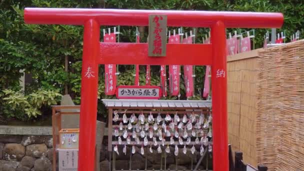 長谷寺と鎌倉の神社では、美しく、印象的な景色 — ストック動画