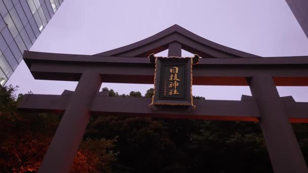 有名な日枝 - 夕方に東京の神社 — ストック動画