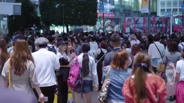 欢迎来到东京涉谷--在日本东京的热门景点--2018年6月12日 — 图库视频影像