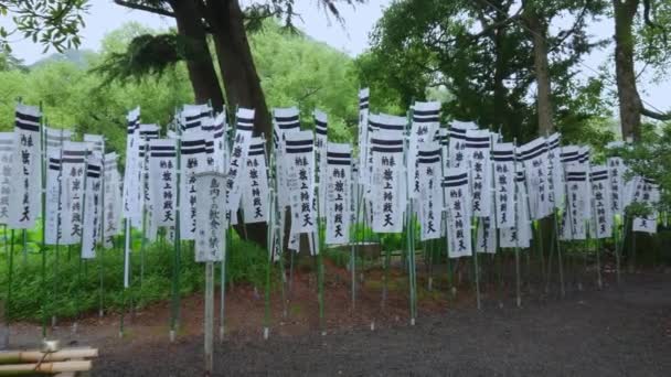 Chemin des drapeaux dans un sanctuaire shintoïste à Kamakura — Video