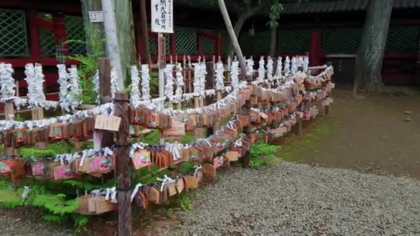 Nezu Jinja Shrine - το διάσημο Shinto Shrine στο Τόκιο Bunkyo — Αρχείο Βίντεο