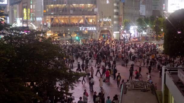 Shibuya - en upptagen och populär stadsdel i Tokyo - Tokyo, Japan - 12 juni 2018 — Stockvideo