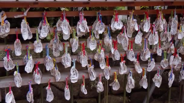 Желания, написанные раковинами в буддийском храме — стоковое видео