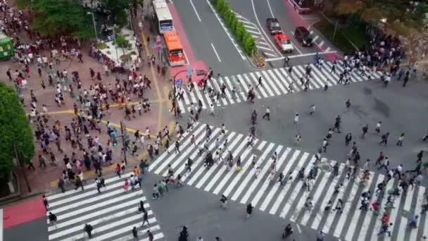 Křížení Shibuya v Tokiu - na frekventovaném místě — Stock video