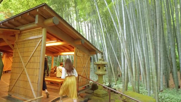 Удивительный чайный домик в японском бамбуковом лесу - ТОКИО, ЯПОНИЯ - 17 ИЮНЯ 2018 — стоковое видео
