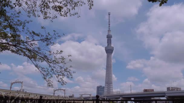 Tokio Skytree - een beroemde bezienswaardigheid in de stad - Tokio, Japan - 19 juni, 2018 — Stockvideo