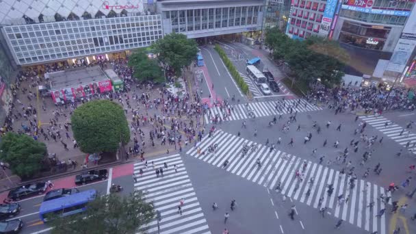 Famoso cruce de Shibuya en Tokio - vista aérea - TOKYO, JAPÓN - 12 DE JUNIO DE 2018 — Vídeos de Stock