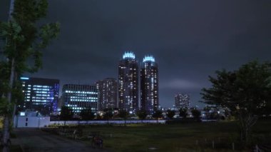 Tokyo manzarası, gece