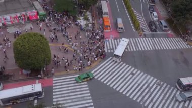 Ünlü Shibuya Crossing Tokyo - havadan görünümü - Tokyo, Japonya - 12 Haziran 2018