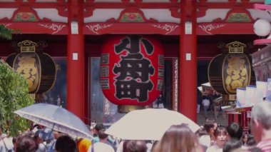 Bambu orman Japonya - eğlence için harika bir yer - Tokyo, Japonya - 17 Haziran 2018