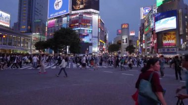 Shibuya, Tokyo - meşgul yer - Tokyo, Japonya - 12 Haziran 2018 Crossing