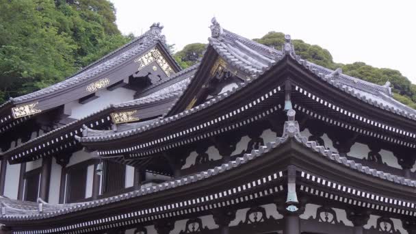Kamakura Japonya'da ünlü Hase Dera Tapınağı — Stok video