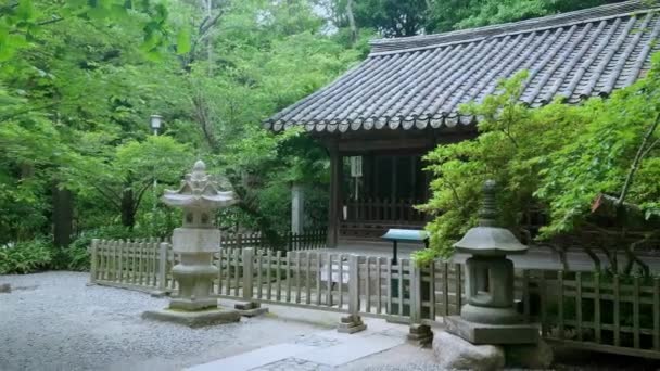 Famous Daibutsu Temple in Kamakura — Stock Video