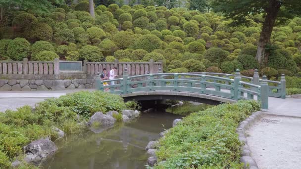 Santuário de Nezu Jinja - o famoso Santuário de Xintoísmo em Tóquio Bunkyo - TOKYO, JAPÃO - JUNHO 17, 2018 — Vídeo de Stock