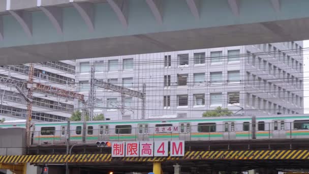 Die aankomen en vertrekken treinen op Tokyo station - het centraal station in de stad - Tokio, Japan - 19 juni, 2018 — Stockvideo