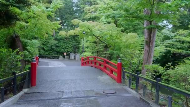 Beautiful red bridge at Tsurugaoka Hachiman-gu shrine — Stock Video