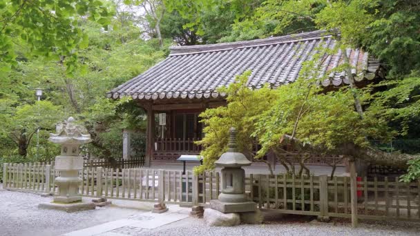 Daibutsu-Tempel in kamakura japan — Stockvideo