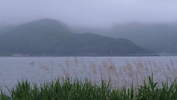 Japonci vrchoviny v okolí hory Fudži v mlze — Stock video