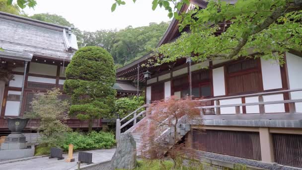 Tradycyjny japoński dom w Kamakura — Wideo stockowe
