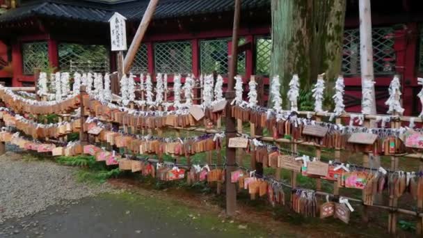 Nezu Jinja Heiligdom - de beroemde Shinto Heiligdom in Tokio Bunkyo — Stockvideo