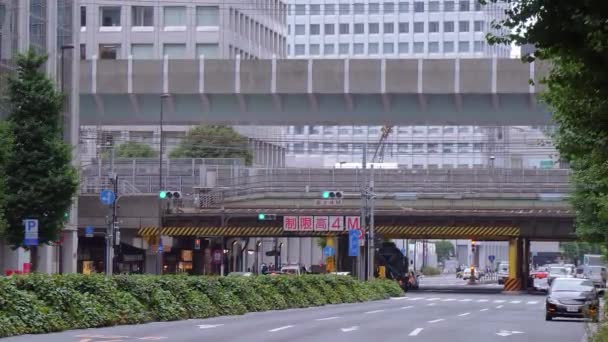 Ankommande och avgående tåg på Tokyo station - centralstationen i staden - Tokyo, Japan - 19 juni 2018 — Stockvideo