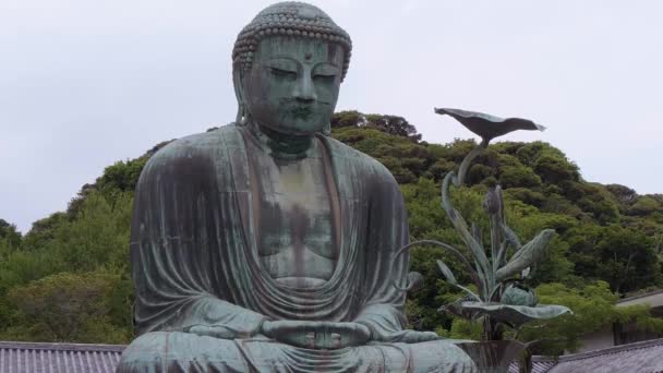 Знаменитый Большой Будда в храме Камакура Дайбуцу — стоковое видео