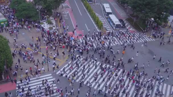 Shibuya átkelés Tokióban - egy forgalmas hely - Tokyo, Japán - 2018. június 12. — Stock videók