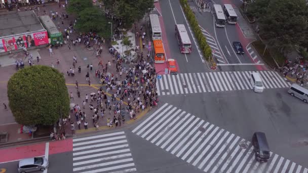 Berühmte shibuya kreuzung in tokyo - luftbild - tokyo, japan - 12. juni 2018 — Stockvideo