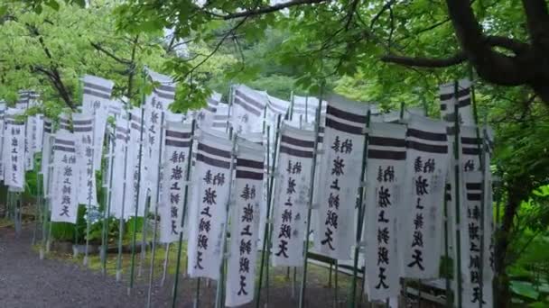 Caminho das bandeiras em um santuário de Xintoísmo em Kamakura — Vídeo de Stock