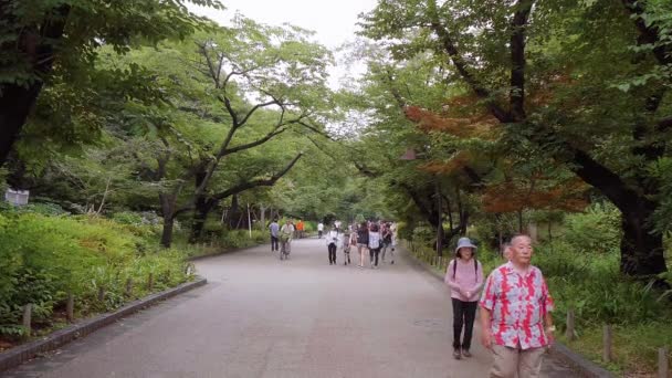 Ueno park in der stadt tokyo - tokyo, japan - 15. juni 2018 — Stockvideo