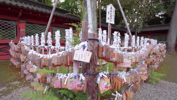 Nezu Jinja Shrine - the famous Shinto Shrine in Tokyo Bunkyo — Stock Video