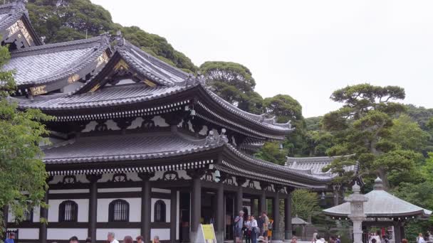 Kamakura - Tokyo, Japonya - 12 Haziran 2018 Hase-Dera Tapınağı güzel çatılar — Stok video